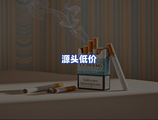 专业团队